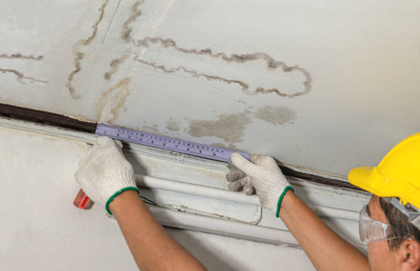 Reliable Basement Water Removal contractor in Morris, MN by Water Damage Irwin